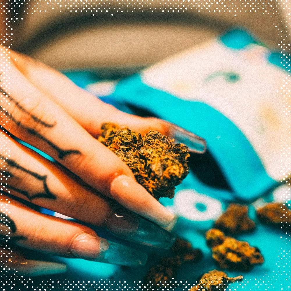 From San Francisco to the World: Cookies Is Cannabis Culture
