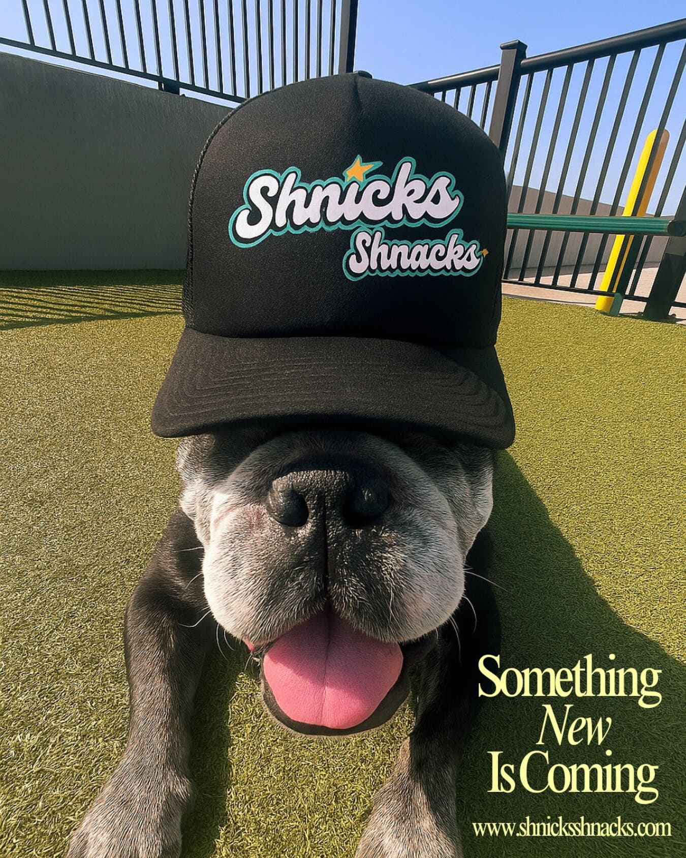 Shnicks Shnacks—Where passion meets precision.