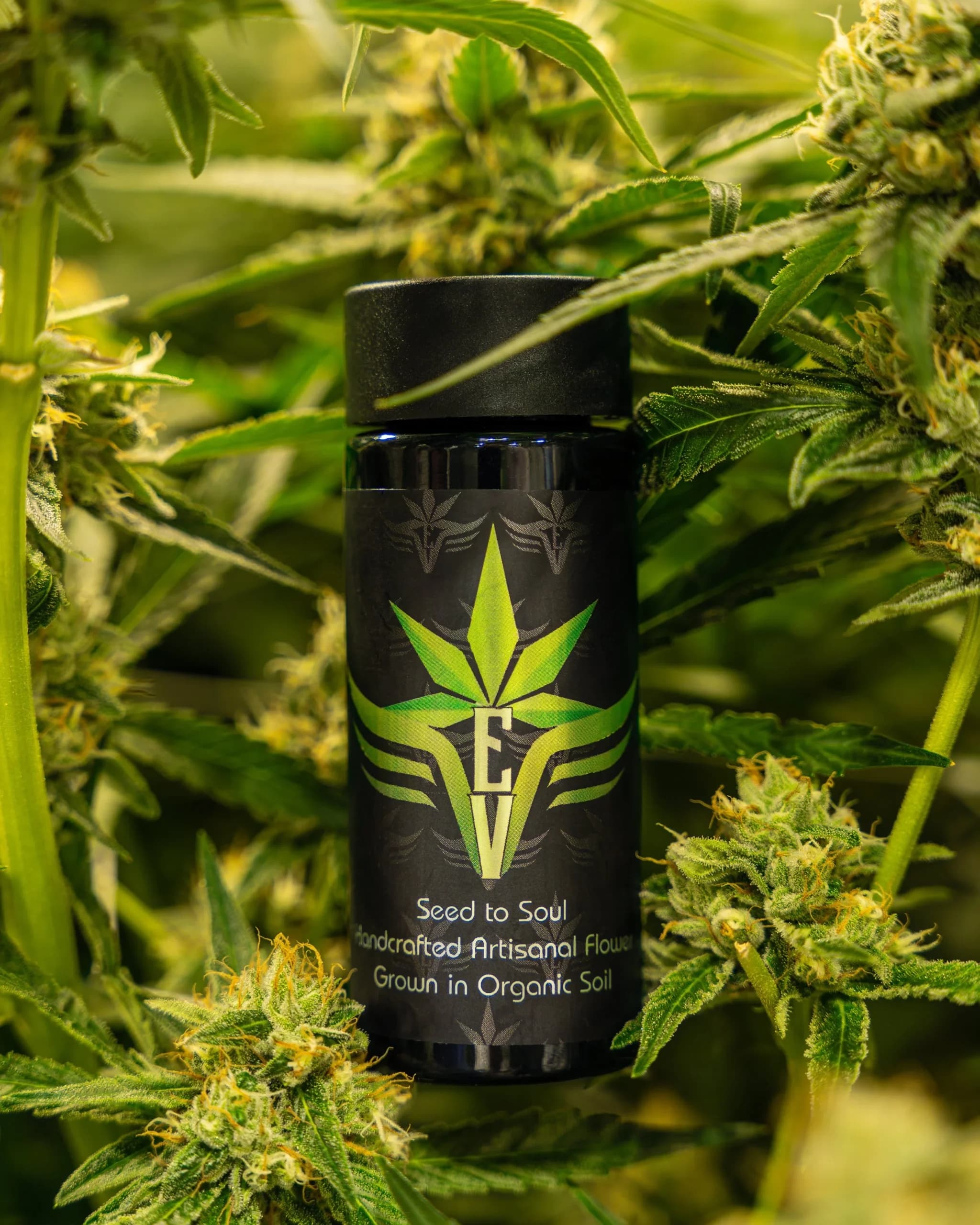 Cultivated with Purpose. Rolled with Pride