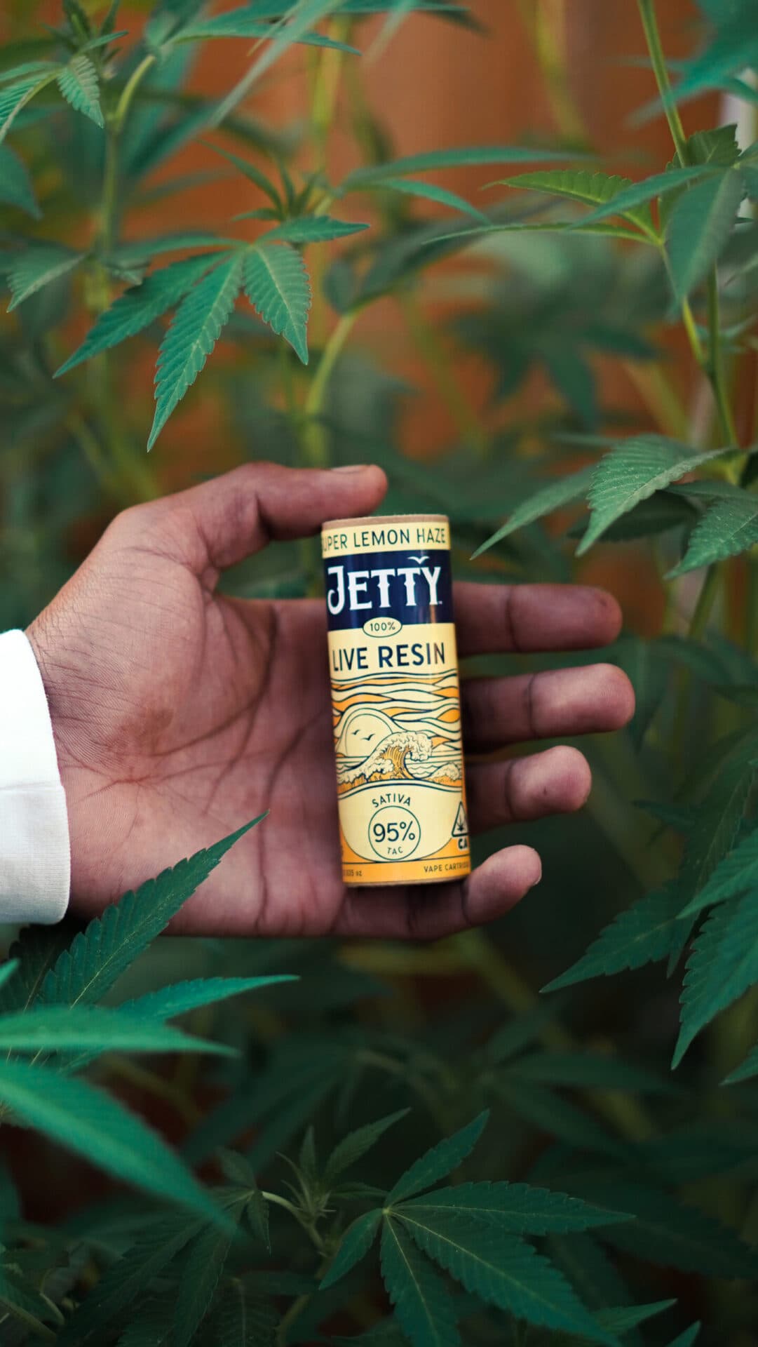 Jetty carts in strain-specific packaging shown at checkout