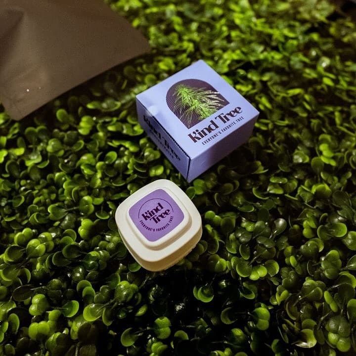 kind tree cannabis in New Jersey