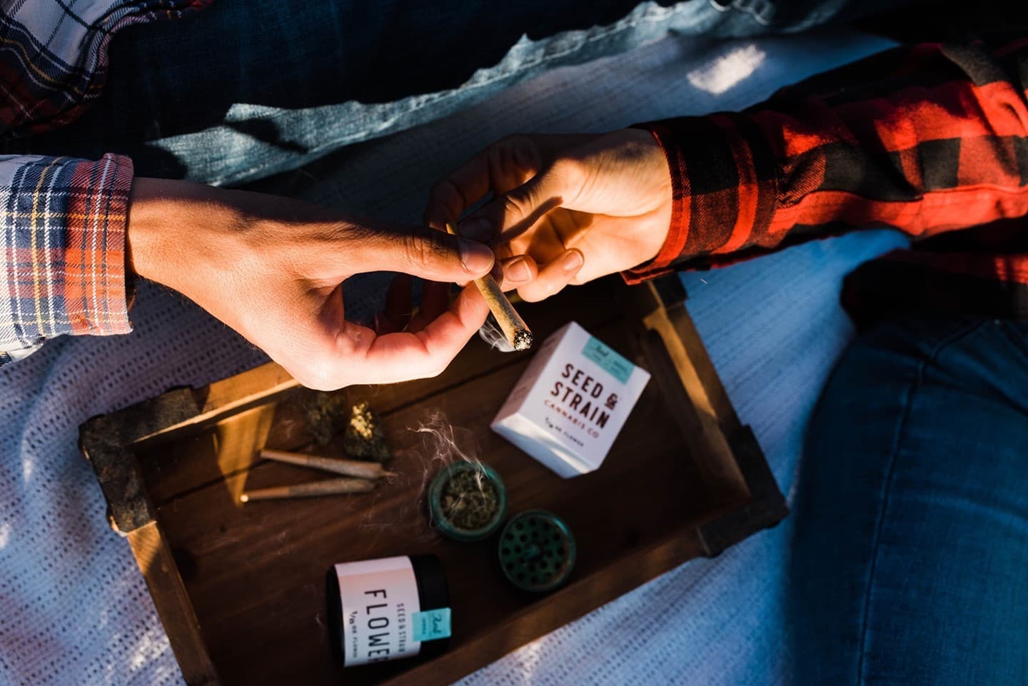 seed strain cannabis in New Jersey