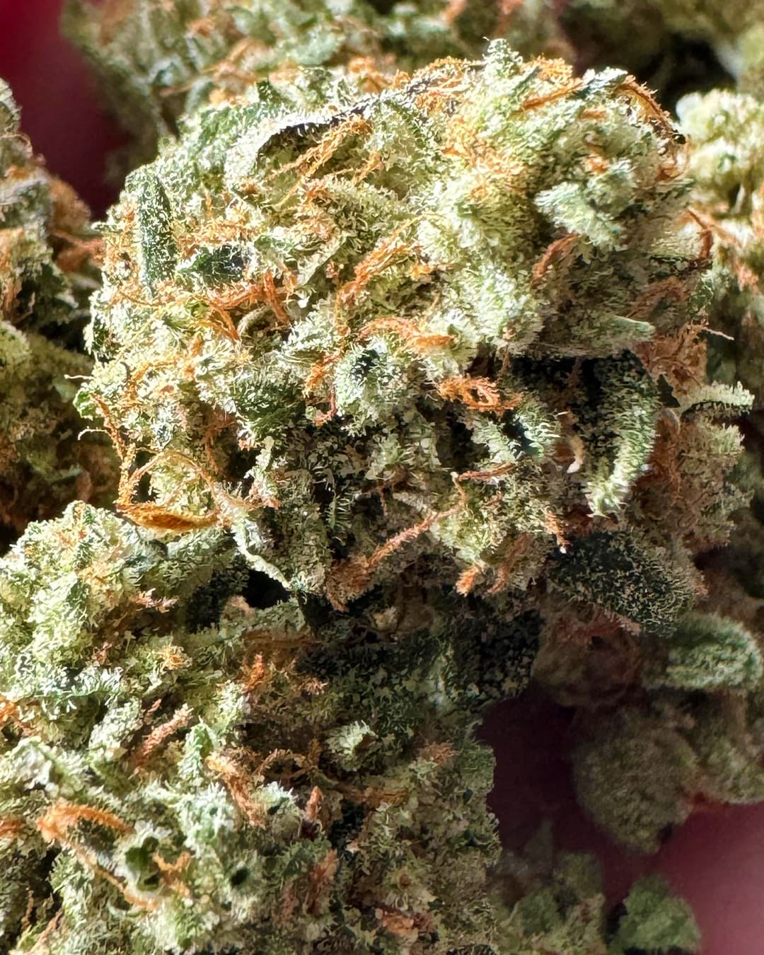 brighterside indica flower featuring rich trichome coverage