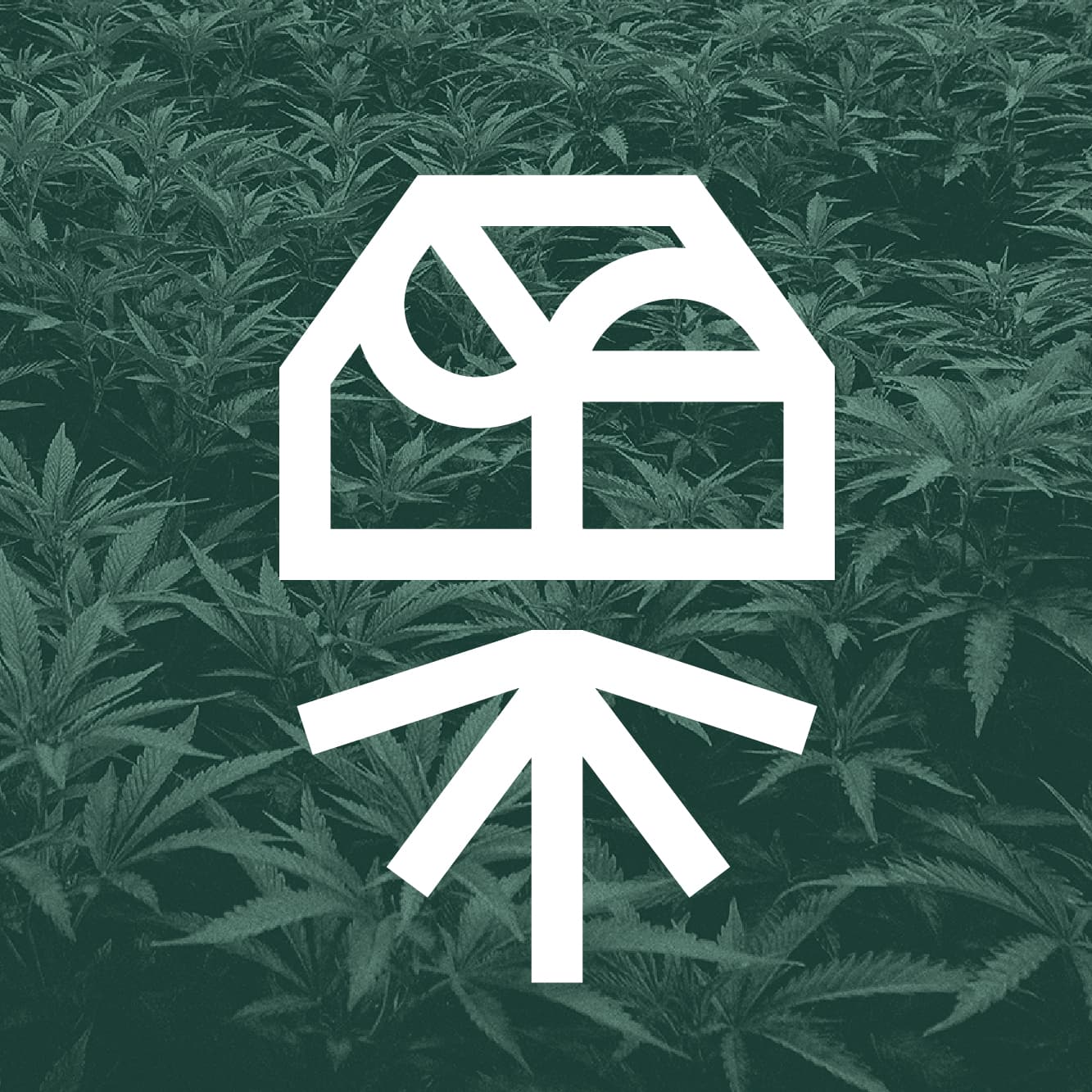 Shop Grassroots in New Jersey logo