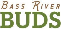 Bass River Buds
