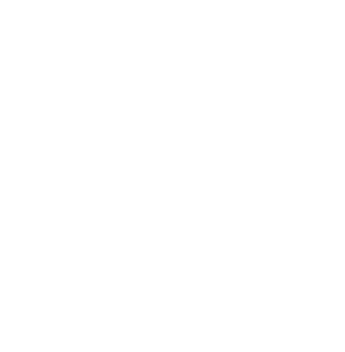 Turtle Pie