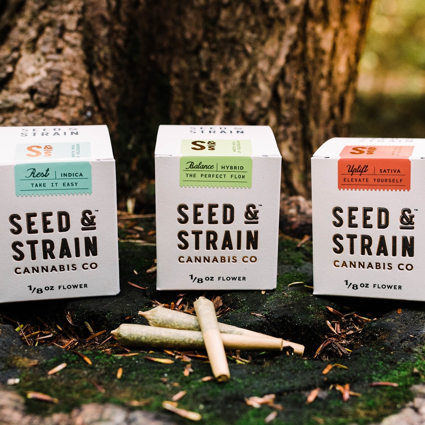 Seed & Strain imagery