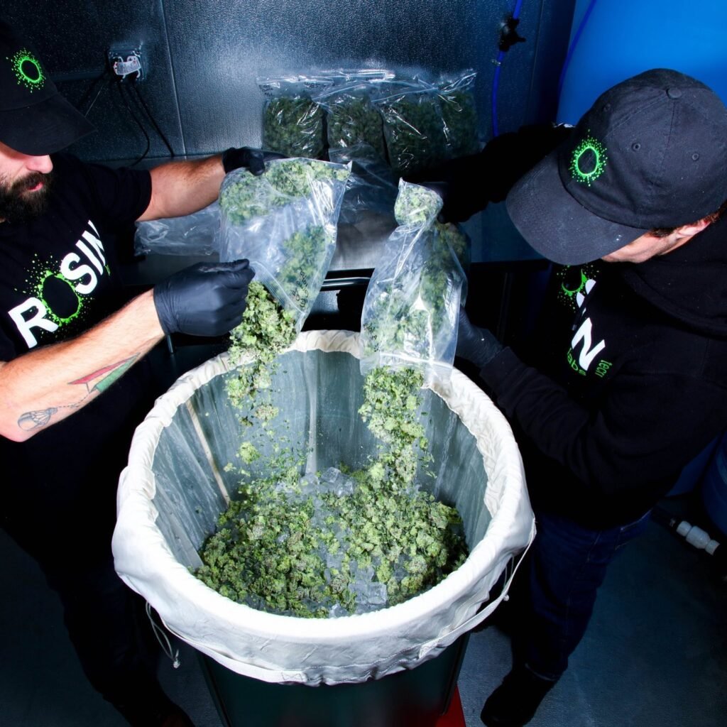 Rosin Tech Labs live rosin concentrate process flower